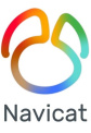 Navicat for SQL Server