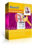 Kernel Recovery for Access Password