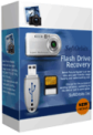 Flash Drive Recovery