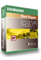 DataNumen Word Repair DataNumen Word Repair
