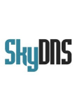 SkyDNS Бизнес