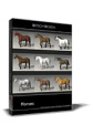 Dosch 3D: Horses