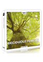 Deciduous Forests