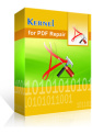 Kernel for PDF Repair