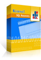 Kernel Recovery for SQL