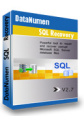DataNumen SQL Recovery