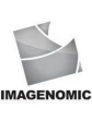 Imagenomic Portraiture