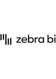 Zebra BI for Power BI
