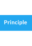 Principle